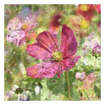 Art Print, , small