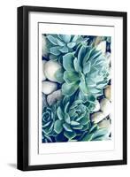 Succulents no words-Urban Epiphany-Framed Art Print