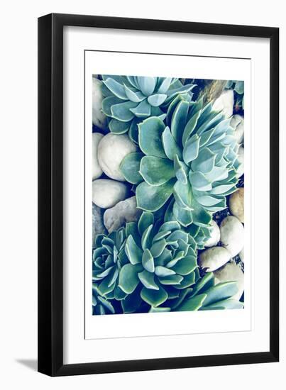 Succulents no words-Urban Epiphany-Framed Art Print