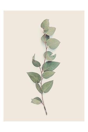 Art Print, , small