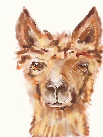 Art Print, , small