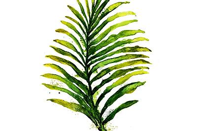Art Print, , small