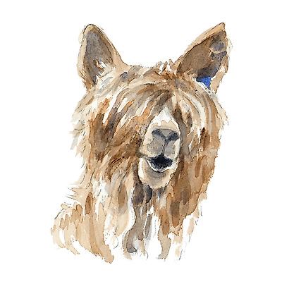 Art Print, , small
