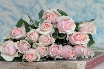 Photographic Print, , small