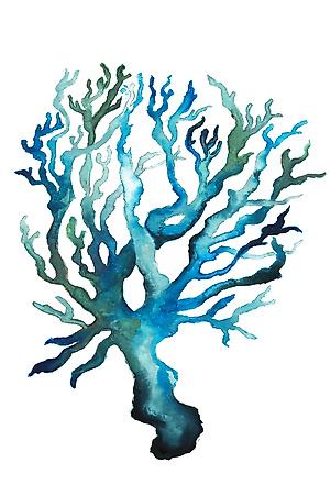 Art Print, , small