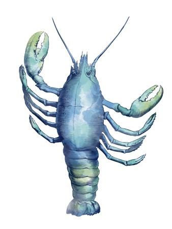 Art Print, , small