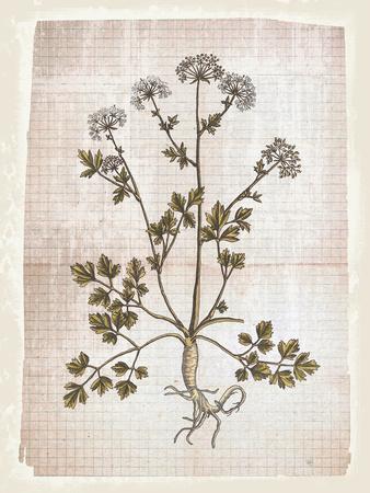 Art Print, , small