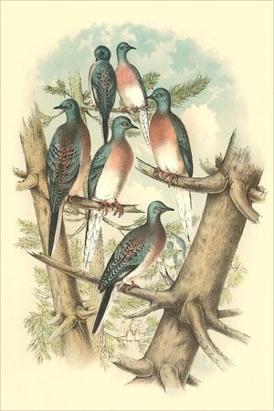 Art Print, , small