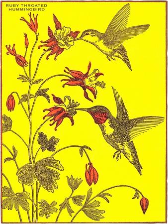 Art Print, , small