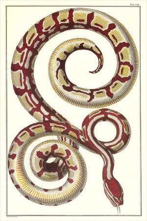 Art Print, , small
