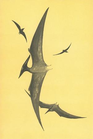 Art Print, , small