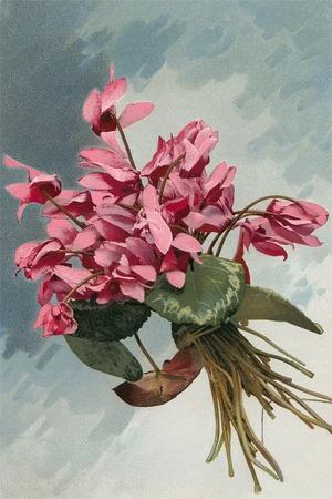 Art Print, , small