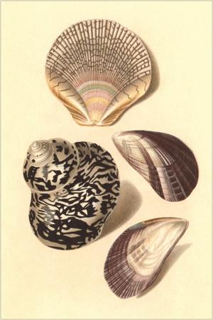 Art Print, , small