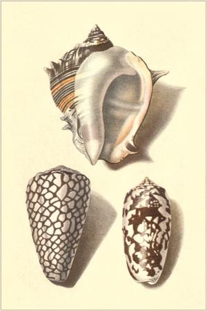 Art Print, , small