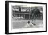 Cowboy Bucked Off Bronco, Montana-null-Framed Art Print