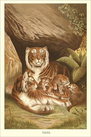 Art Print, , small