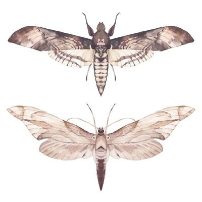Art Print, , small