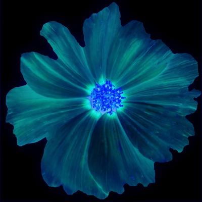 Art Print, , small