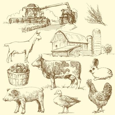 Art Print, , small