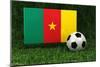 Cameroon Soccer-badboo-Mounted Art Print