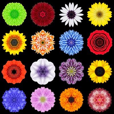 Art Print, , small