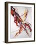 The Broken Pinata-Farrell Douglass-Framed Giclee Print