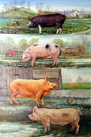 Giclee Print, , small