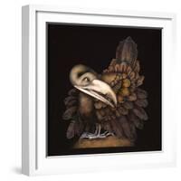 BOMBAX BIRD-Wayne Anderson-Framed Giclee Print