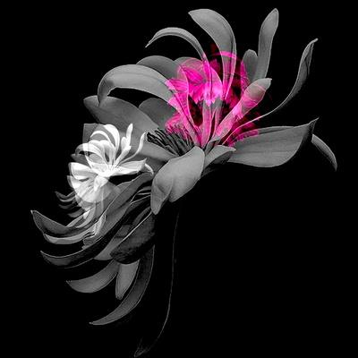 Giclee Print, , small