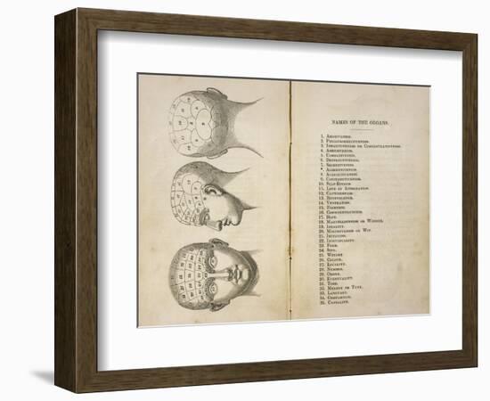 De Ville's Phrenological Head Seen from Front Side and Back-null-Framed Art Print