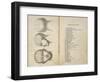 De Ville's Phrenological Head Seen from Front Side and Back-null-Framed Art Print