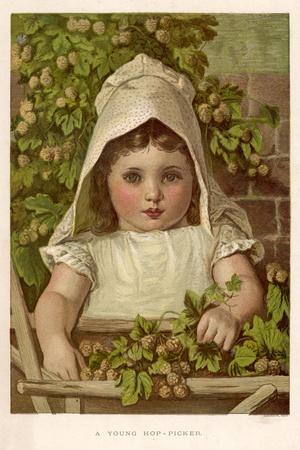 Art Print, , small