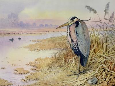 Giclee Print, , small