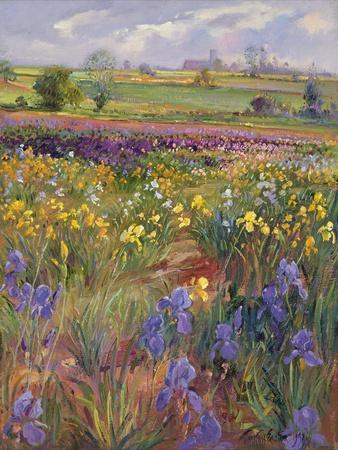 Giclee Print, , small
