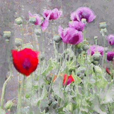 Giclee Print, , small