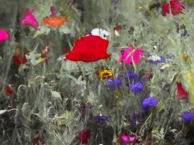 Giclee Print, , small