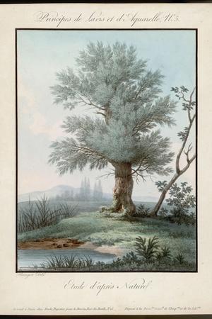 Art Print, , small