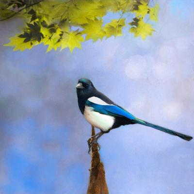 Giclee Print, , small