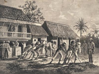 Giclee Print, , small