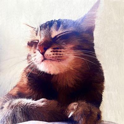 Giclee Print, , small