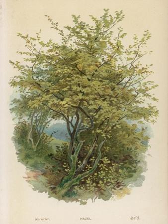 Art Print, , small