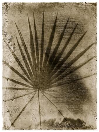 Photographic Print, , small