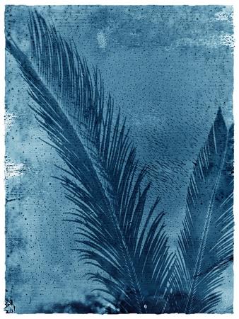 Photographic Print, , small