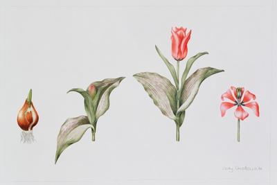 Giclee Print, , small