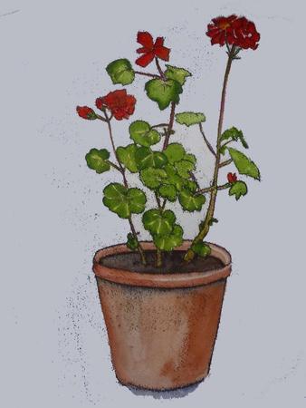 Giclee Print, , small