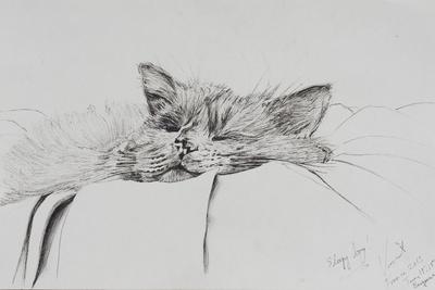 Photographic Print, , small
