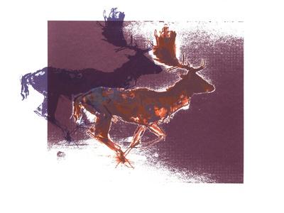 Giclee Print, , small