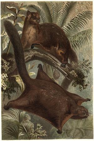 Giclee Print, , small