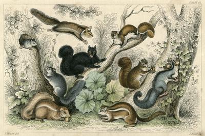 Art Print, , small