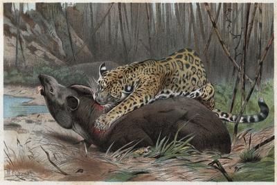 Giclee Print, , small